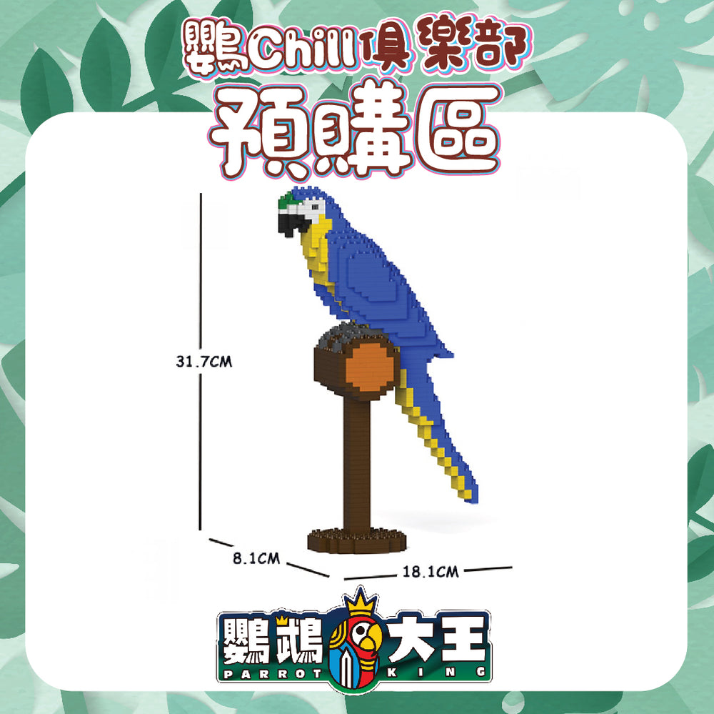 藍黃金剛鸚鵡01S_ST19MA03【JEKCA - 大人玩嘅積木雕塑】