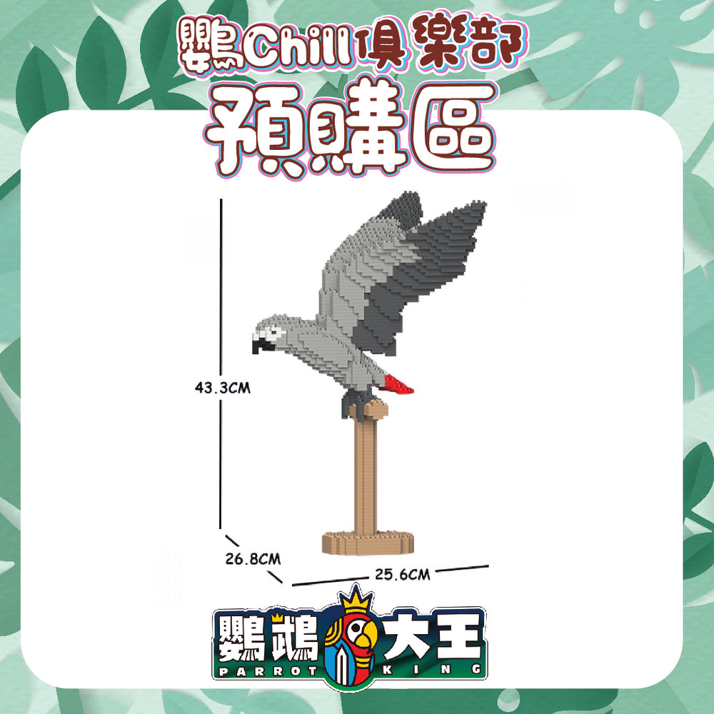 非洲灰鸚鵡02S_ST19MA19【JEKCA - 大人玩嘅積木雕塑】